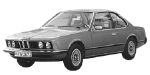 BMW E24 C1250 Fault Code