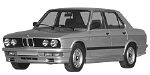 BMW E28 C1250 Fault Code